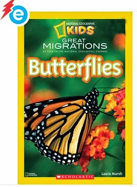 Butterflies & Seeds!