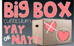 Big Box Curriculum YAY or NAY?