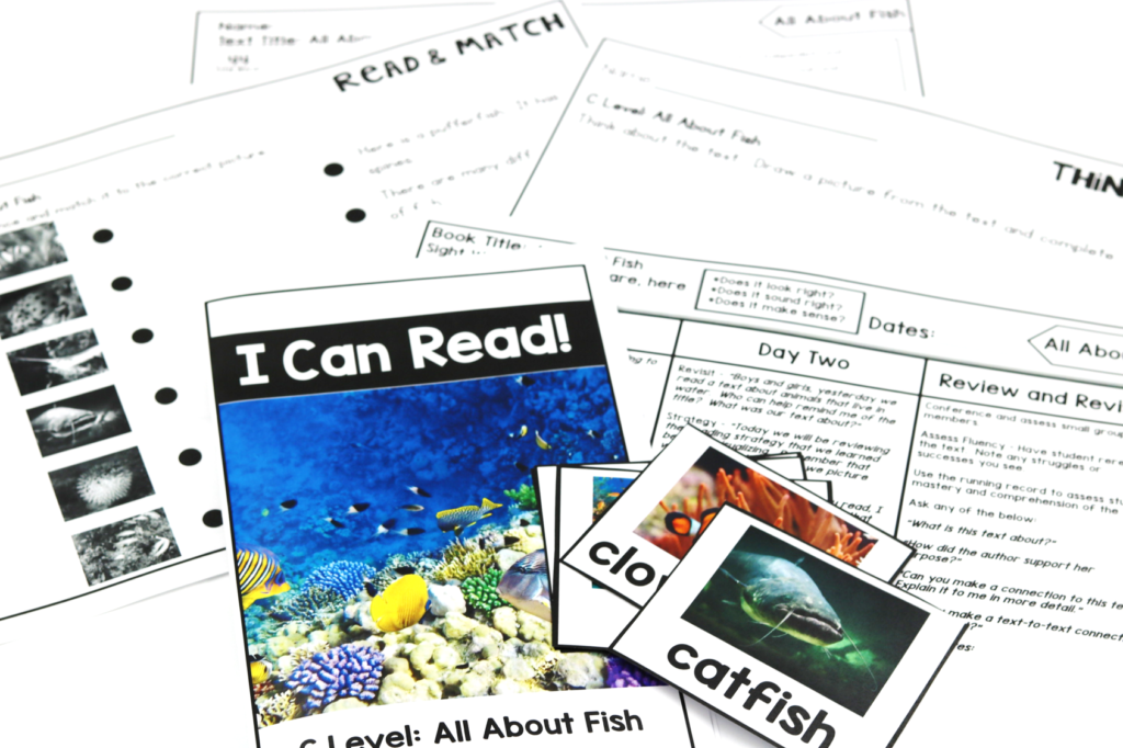kindergarten nonfiction readers