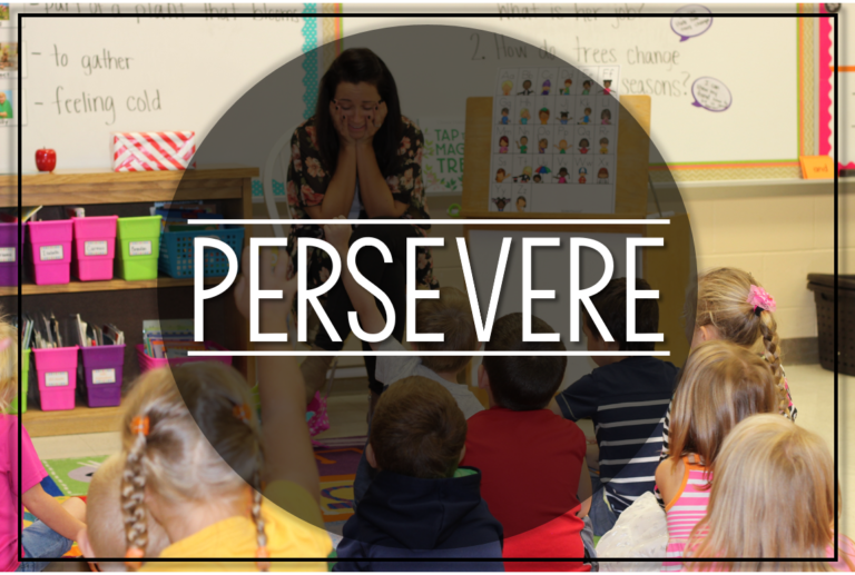 Persevere! {a lesson about NEVER giving up}