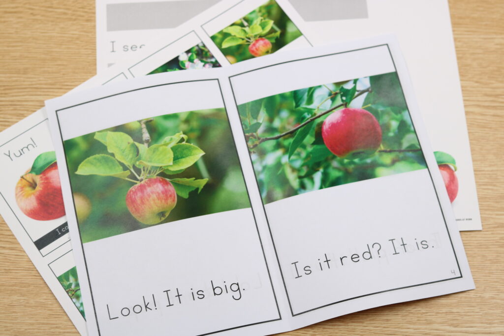 apple decodable books