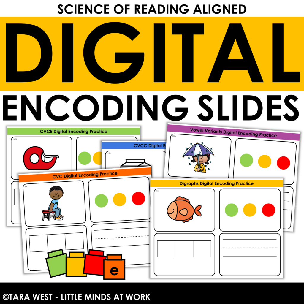 science of reading encoding