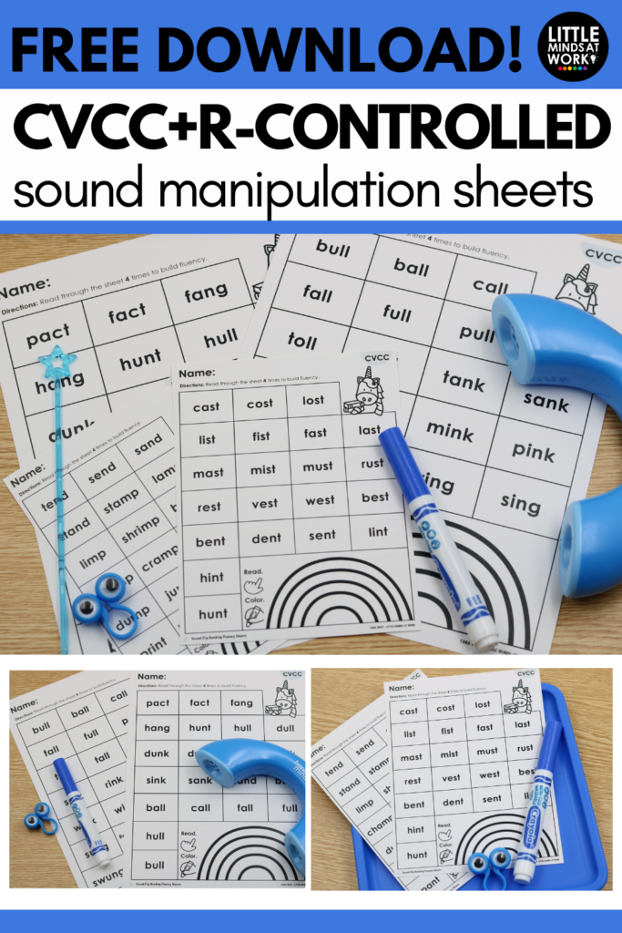 r-controlled science of reading 